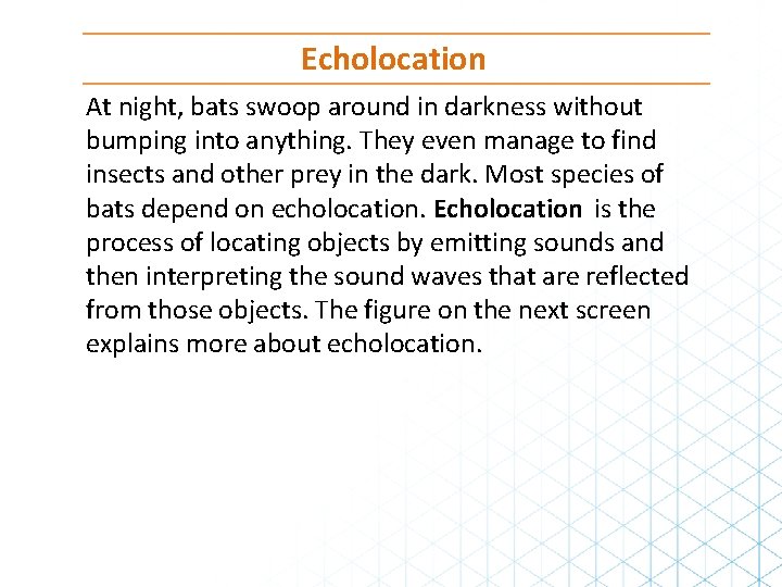 Echolocation At night, bats swoop around in darkness without bumping into anything. They even