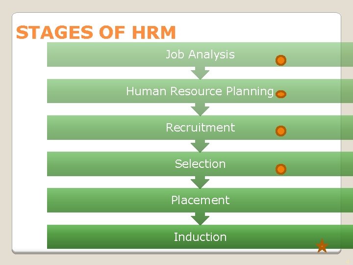 STAGES OF HRM Job Analysis Human Resource Planning Recruitment Selection Placement Induction 4 