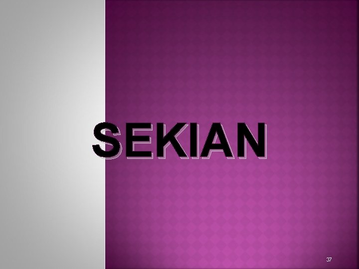 SEKIAN 37 