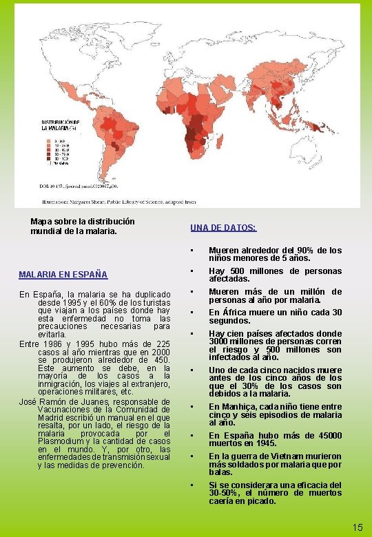 Mapa sobre la distribución mundial de la malaria. UNA DE DATOS: • Mueren alrededor