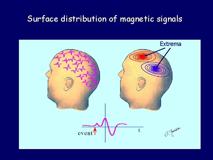 Surface distribution of magnetic signals Extrema 