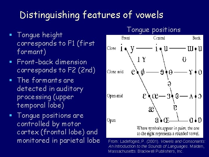 Distinguishing features of vowels § Tongue height corresponds to F 1 (first formant) §