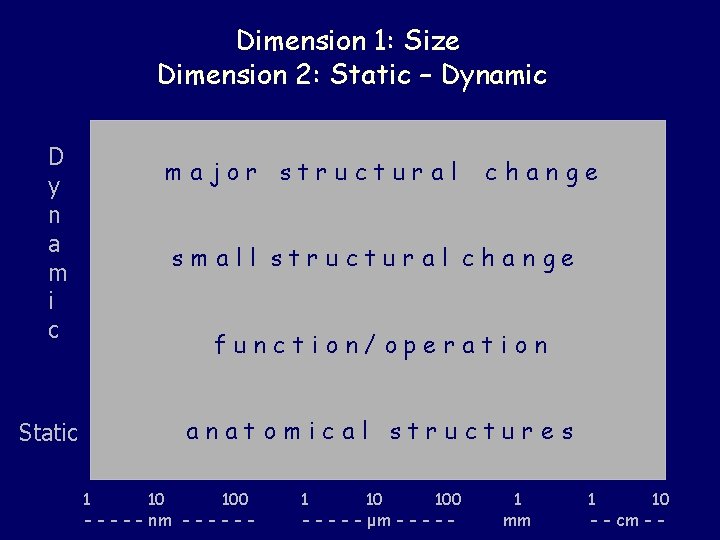 Dimension 1: Size Dimension 2: Static – Dynamic D y n a m i