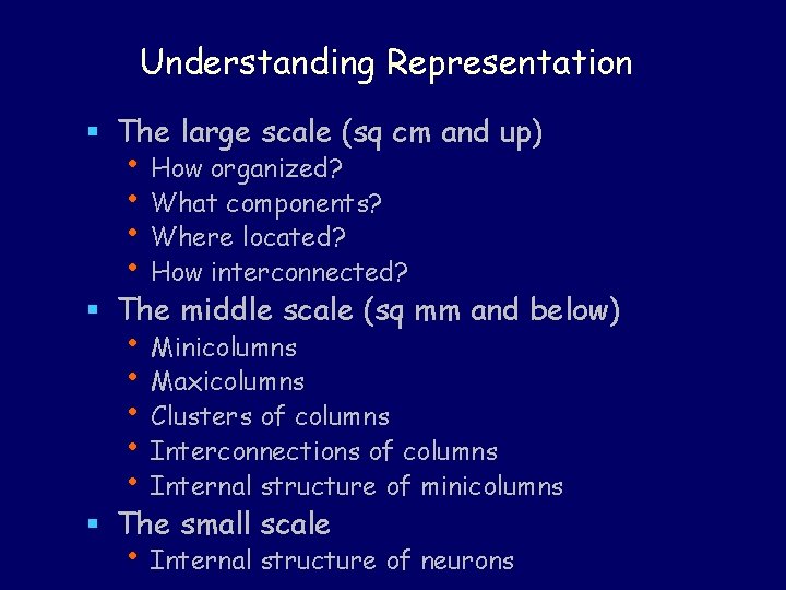 Understanding Representation § The large scale (sq cm and up) • How organized? •