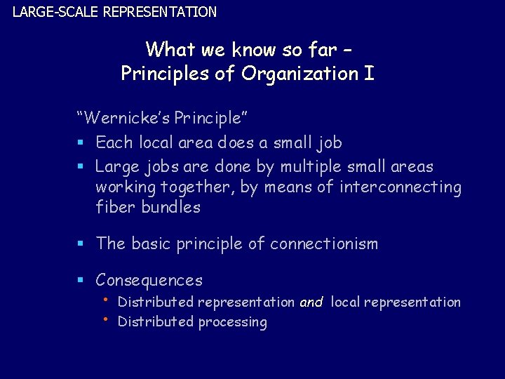 LARGE-SCALE REPRESENTATION What we know so far – Principles of Organization I “Wernicke’s Principle”