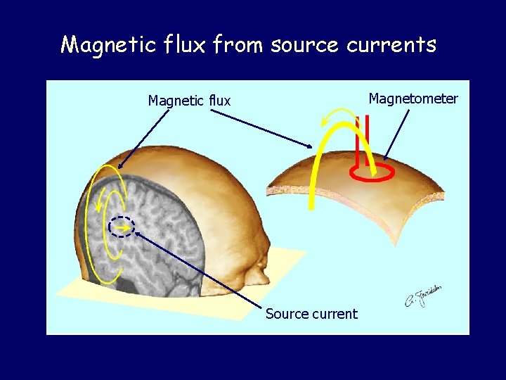 Magnetic flux from source currents Magnetometer Magnetic flux Source current 
