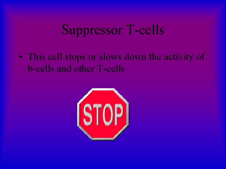 Suppressor T-cells • This cell stops or slows down the activity of b-cells and