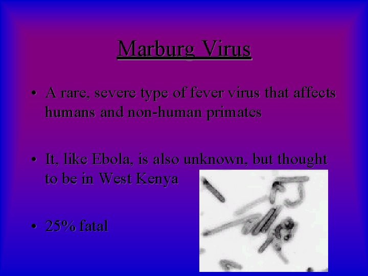 Marburg Virus • A rare, severe type of fever virus that affects humans and