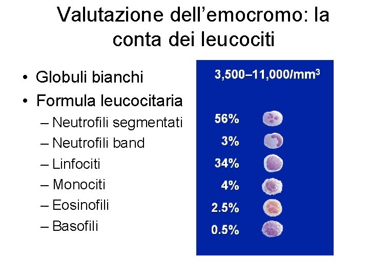 Valutazione dell’emocromo: la conta dei leucociti • Globuli bianchi • Formula leucocitaria – Neutrofili