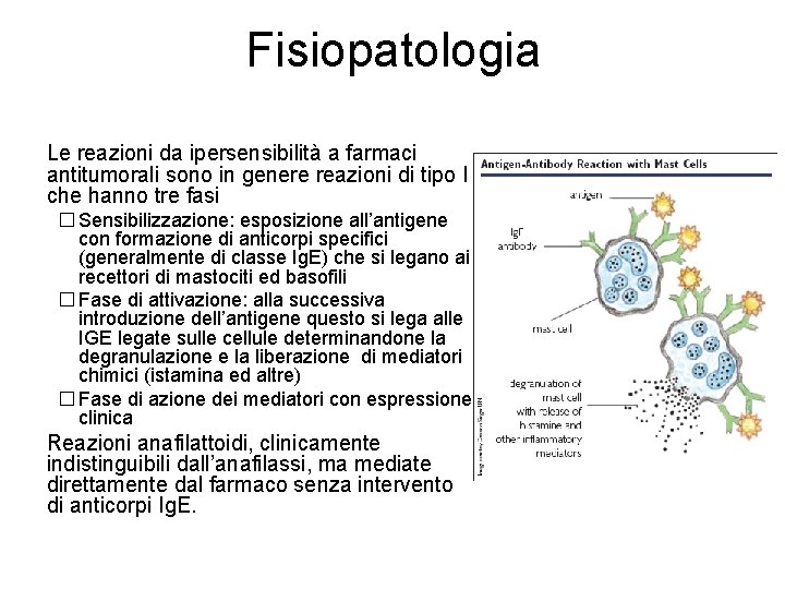 Fisiopatologia � Le reazioni da ipersensibilità a farmaci antitumorali sono in genere reazioni di