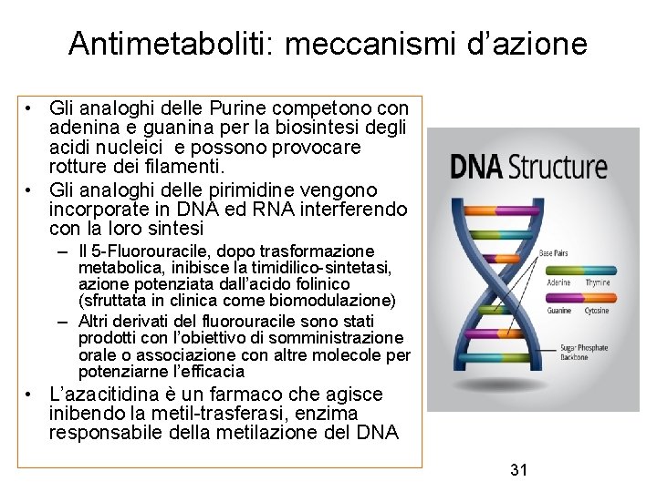 Antimetaboliti: meccanismi d’azione • Gli analoghi delle Purine competono con adenina e guanina per