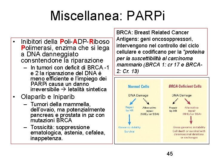 Miscellanea: PARPi • Inibitori della Poli-ADP-Riboso Polimerasi, enzima che si lega a DNA danneggiato