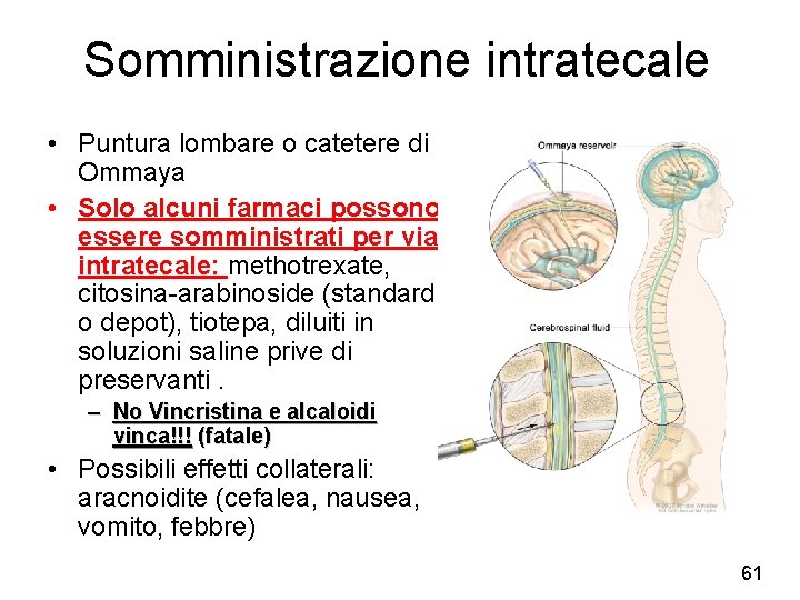 Somministrazione intratecale • Puntura lombare o catetere di Ommaya • Solo alcuni farmaci possono