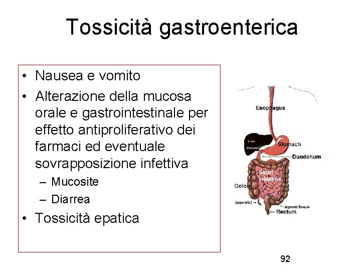 Tossicità gastroenterica • Nausea e vomito • Alterazione della mucosa orale e gastrointestinale per