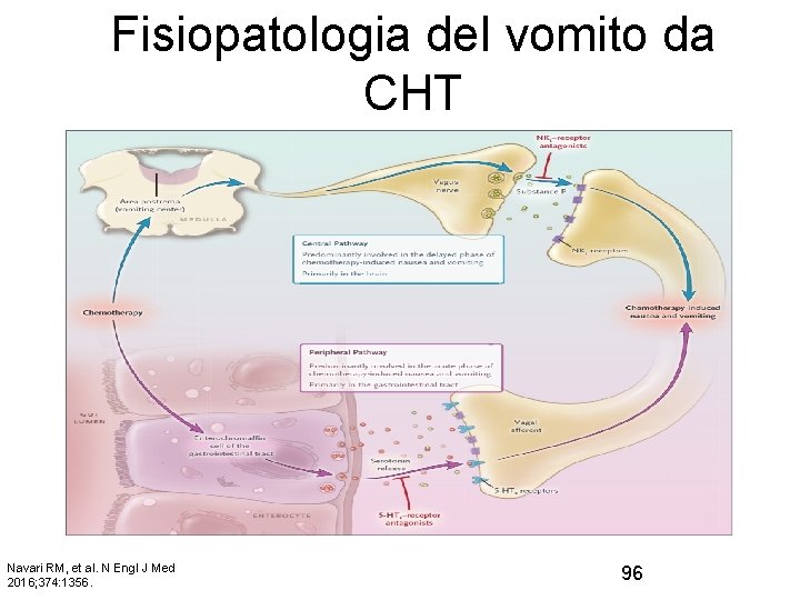 Fisiopatologia del vomito da CHT Navari RM, et al. N Engl J Med 2016;