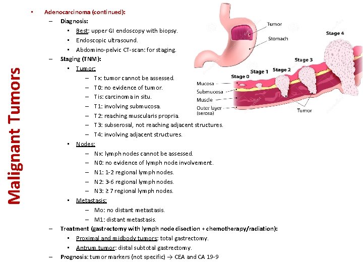 Malignant Tumors • Adenocarcinoma (continued): – Diagnosis: • Best: upper GI endoscopy with biopsy.