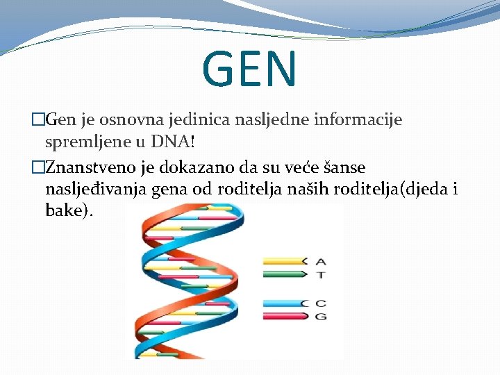 GEN �Gen je osnovna jedinica nasljedne informacije spremljene u DNA! �Znanstveno je dokazano da