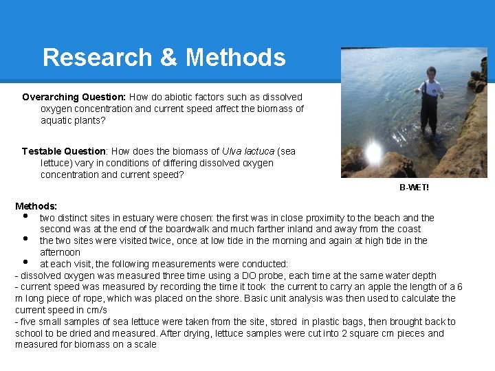 Research & Methods Overarching Question: How do abiotic factors such as dissolved oxygen concentration