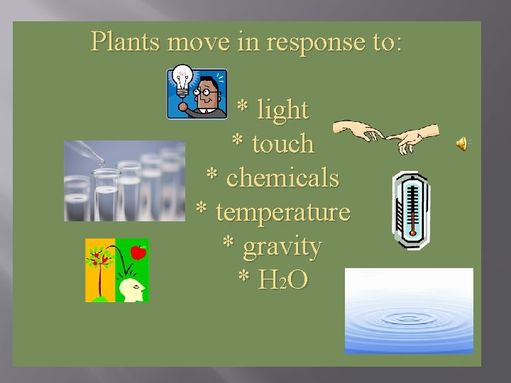Plants move in response to: * light * touch * chemicals * temperature *
