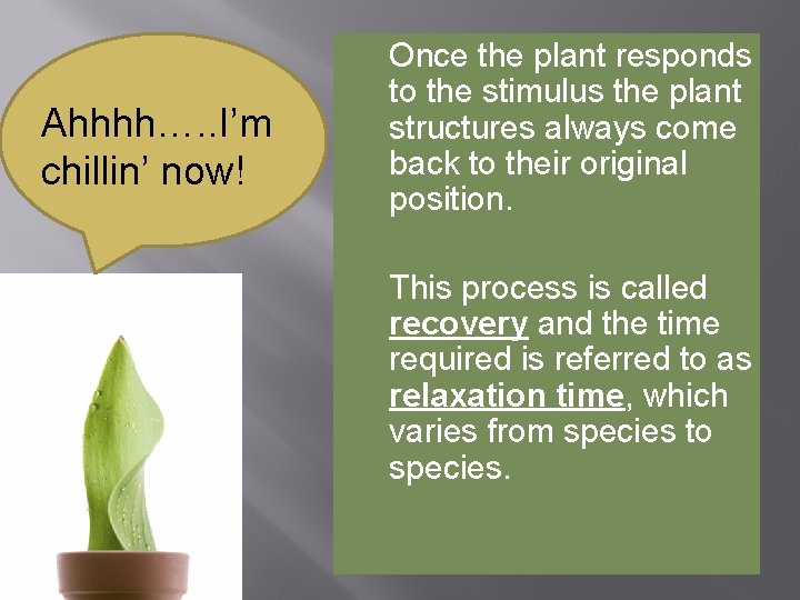 Once the plant responds to the stimulus the plant structures always come back to