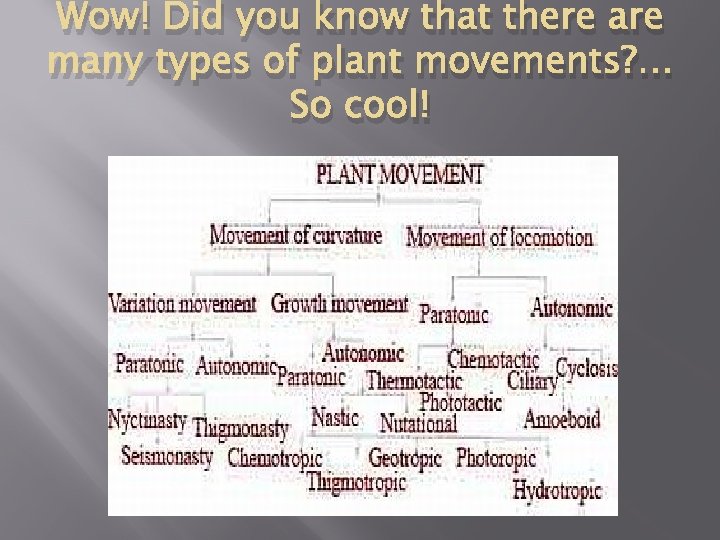 Wow! Did you know that there are many types of plant movements? … So