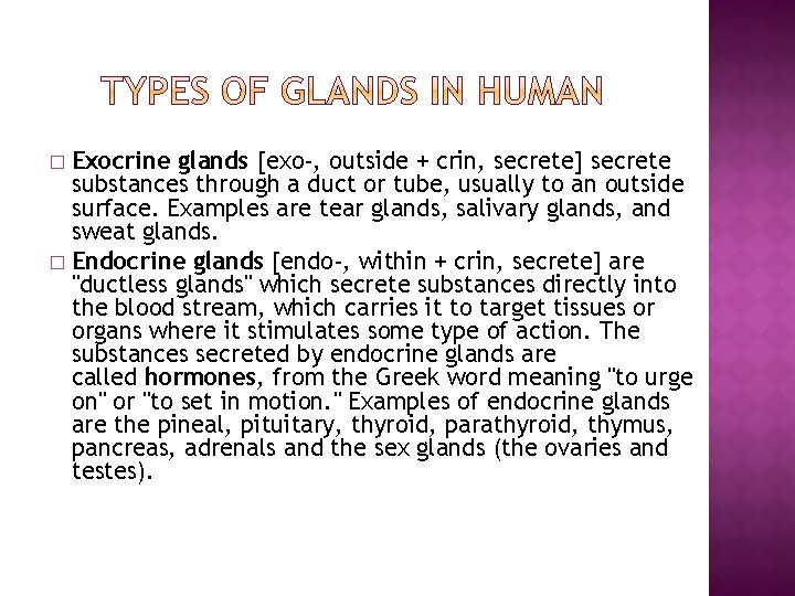 Exocrine glands [exo-, outside + crin, secrete] secrete substances through a duct or tube,