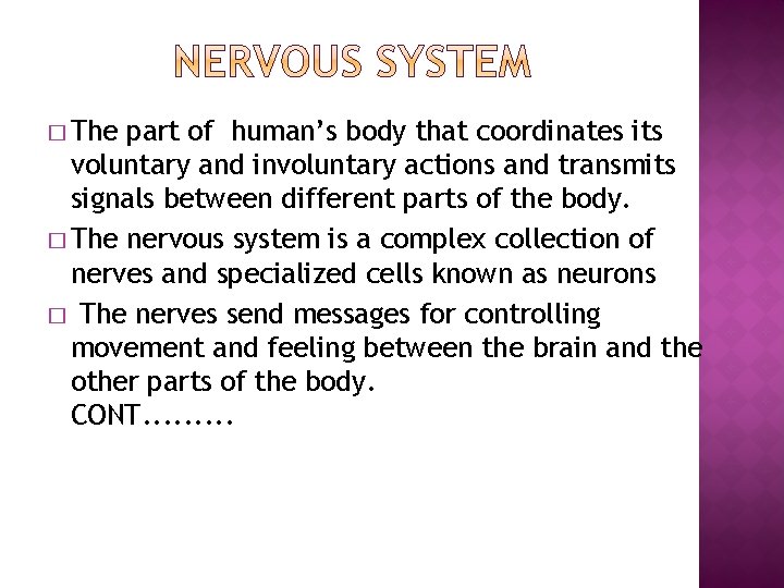 � The part of human’s body that coordinates its voluntary and involuntary actions and