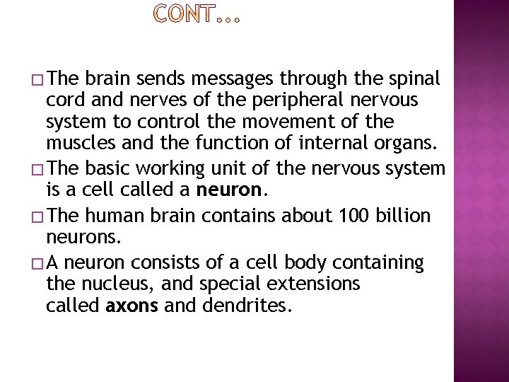 � The brain sends messages through the spinal cord and nerves of the peripheral