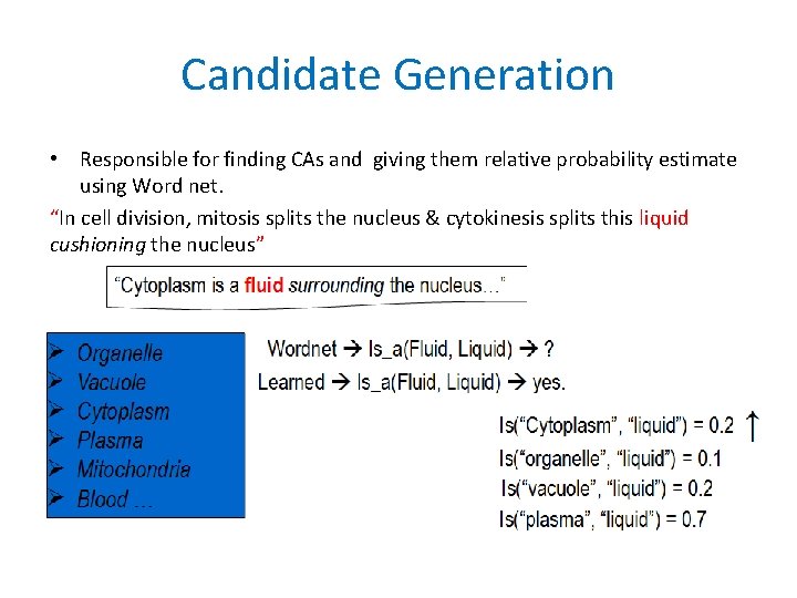 Candidate Generation • Responsible for finding CAs and giving them relative probability estimate using