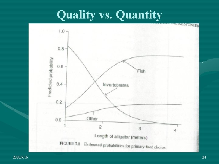 Quality vs. Quantity 2020/9/16 24 