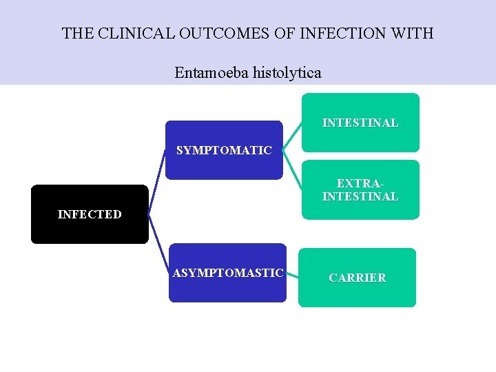 THE CLINICAL OUTCOMES OF INFECTION WITH Entamoeba histolytica INTESTINAL SYMPTOMATIC EXTRAINTESTINAL INFECTED ASYMPTOMASTIC CARRIER