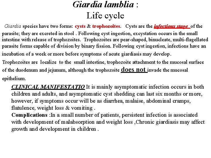 Giardia lamblia : Life cycle Giardia species have two forms: cysts & trophozoites. Cysts