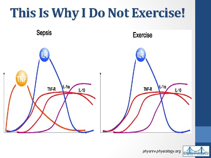 This Is Why I Do Not Exercise! physrev. physiology. org 