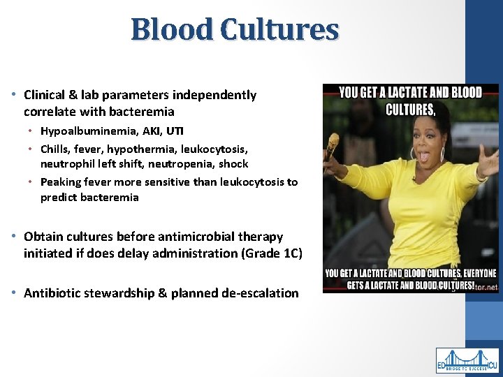 Blood Cultures • Clinical & lab parameters independently correlate with bacteremia • Hypoalbuminemia, AKI,