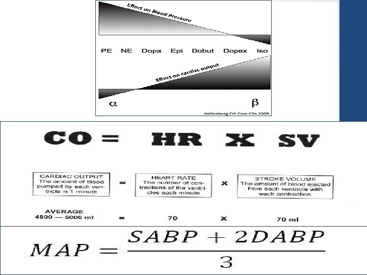 Vasopressors • Septic shock unresponsive to 30 ml/kg IVF (1. 5 -3 liters) (Grade