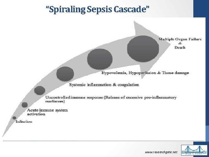 “Spiraling Sepsis Cascade” www. researchgate. net 
