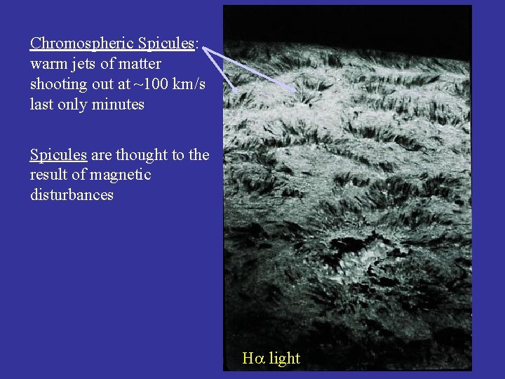 Chromospheric Spicules: warm jets of matter shooting out at ~100 km/s last only minutes