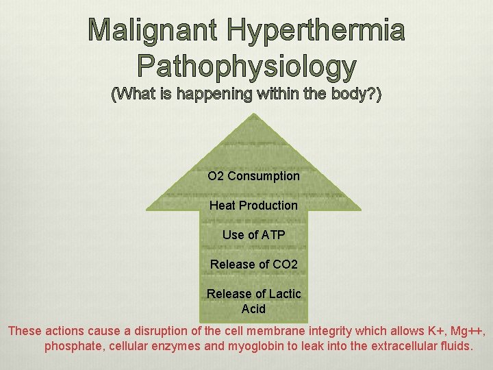 Malignant Hyperthermia Pathophysiology (What is happening within the body? ) O 2 Consumption Heat