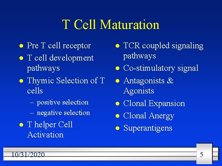 T Cell Maturation l l l Pre T cell receptor T cell development pathways