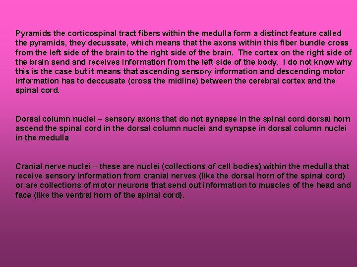 Pyramids the corticospinal tract fibers within the medulla form a distinct feature called the