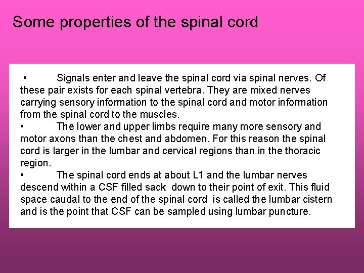 Some properties of the spinal cord • Signals enter and leave the spinal cord