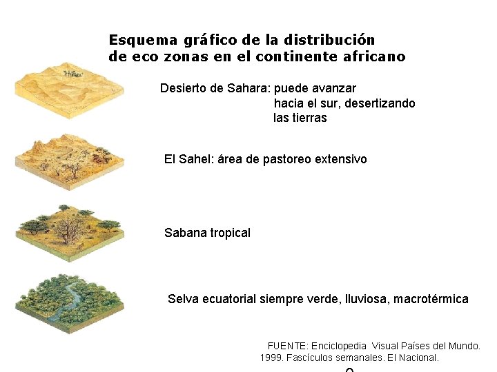 Esquema gráfico de la distribución de eco zonas en el continente africano Desierto de