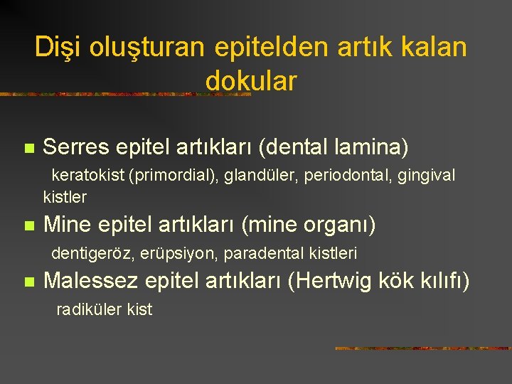 Dişi oluşturan epitelden artık kalan dokular n Serres epitel artıkları (dental lamina) keratokist (primordial),