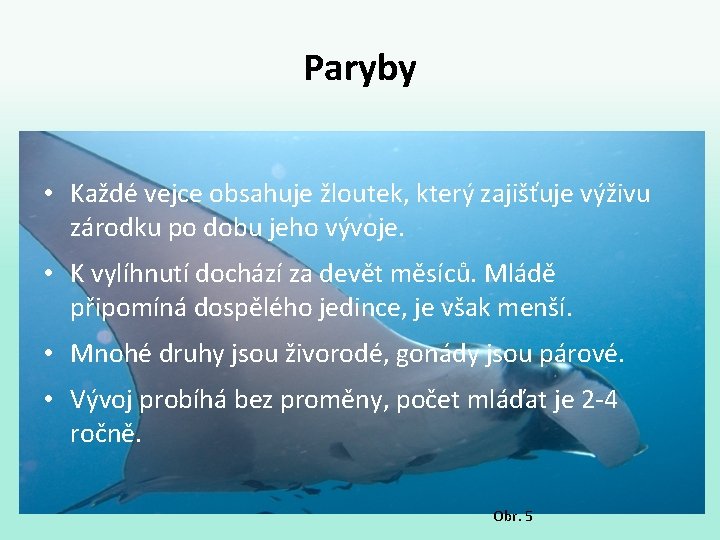 Paryby • Každé vejce obsahuje žloutek, který zajišťuje výživu zárodku po dobu jeho vývoje.