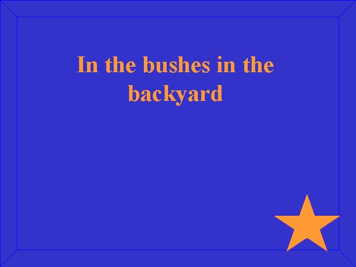 In the bushes in the backyard 