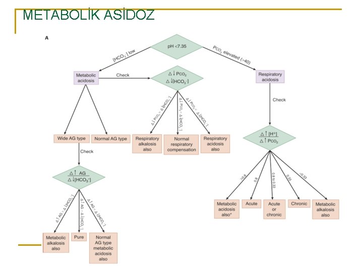 METABOLİK ASİDOZ 