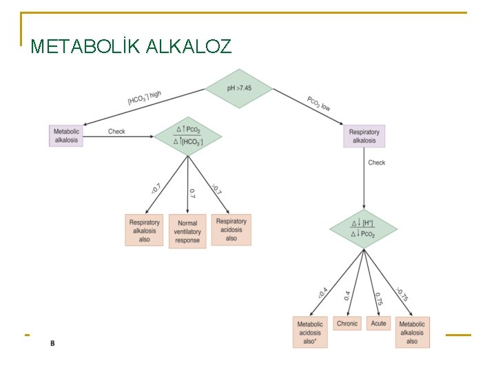 METABOLİK ALKALOZ 