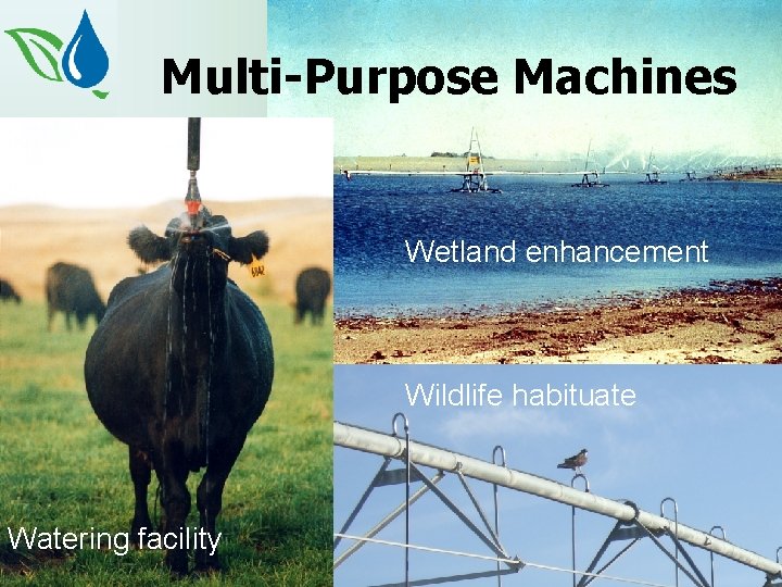 Multi-Purpose Machines Wetland enhancement Wildlife habituate Watering facility 