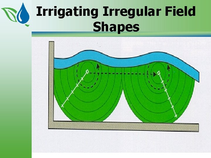 Irrigating Irregular Field Shapes 