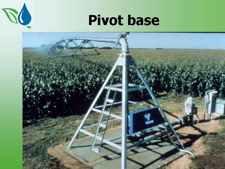 Pivot base 